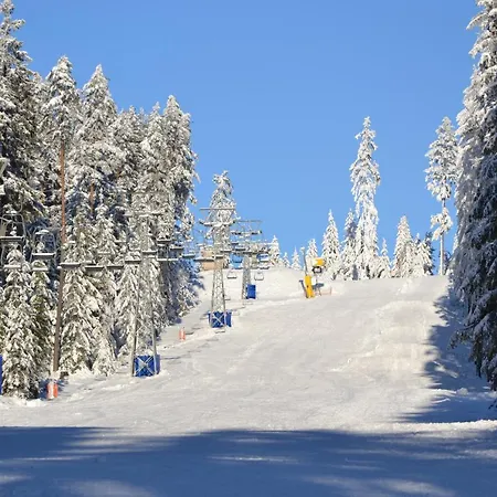 Allis Apartment Lipno nad Vltavou