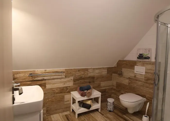 Allis * 伏尔塔瓦河畔利普诺