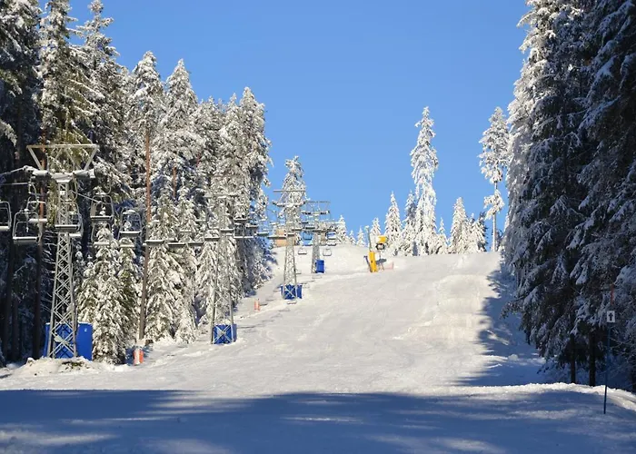 Allis Διαμέρισμα Lipno nad Vltavou